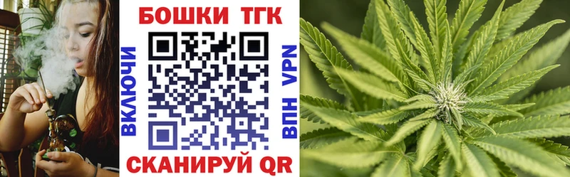 Бошки Шишки MAZAR Игарка